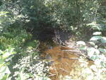 Multiple Culvert Crossing, T7 R11 WELS, Maine