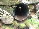 Culvert Crossing, Mason Twp, Maine
