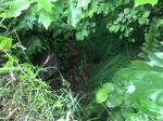 Culvert Crossing, Mason Twp, Maine