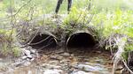 Multiple Culvert Crossing, Greene, Maine