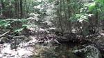 Multiple Culvert Crossing, Greene, Maine
