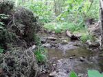 Multiple Culvert Crossing, Monticello, Maine