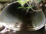 Culvert Crossing, Greenwood, Maine