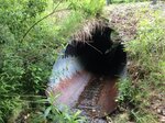 Culvert Crossing, Jay, Maine