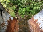 Culvert Crossing, Jay, Maine