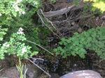 Culvert Crossing, Auburn, Maine