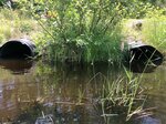 Multiple Culvert Crossing, Livermore, Maine