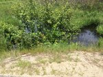 Multiple Culvert Crossing, Livermore, Maine