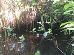 Culvert Crossing, Bethel, Maine