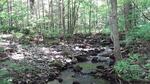 Multiple Culvert Crossing, Vienna, Maine