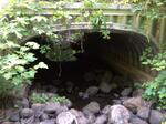 Culvert Crossing, Livermore, Maine