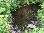 Culvert Crossing, Livermore, Maine