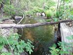 Culvert Crossing, Leeds, Maine