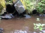 Multiple Culvert Crossing, T15 R9 WELS, Maine