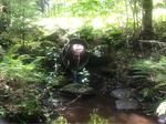 Culvert Crossing, T15 R9 WELS, Maine