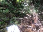Culvert Crossing, T15 R9 WELS, Maine