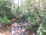 Culvert Crossing, Madawaska, Maine