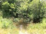 Culvert Crossing, Madawaska, Maine