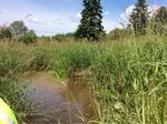 Culvert Crossing, Madawaska, Maine