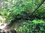 Culvert Crossing, Winterville Plt, Maine