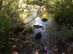Culvert Crossing, Wallagrass, Maine