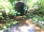 Culvert Crossing, Wallagrass, Maine