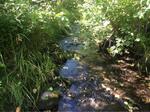 Culvert Crossing, Wallagrass, Maine