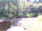 Culvert Crossing, Winterville Plt, Maine
