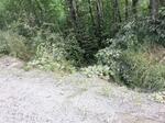 Multiple Culvert Crossing, Van Buren, Maine