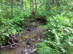 Multiple Culvert Crossing, T16 R6 WELS, Maine
