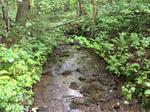 Multiple Culvert Crossing, T16 R6 WELS, Maine