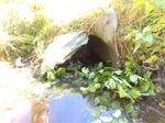 Culvert Crossing, Madawaska, Maine