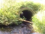 Culvert Crossing, Saint John Plt, Maine