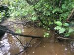 Culvert Crossing, Saint John Plt, Maine