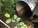 Culvert Crossing, Saint John Plt, Maine