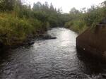 Culvert Crossing, Saint John Plt, Maine