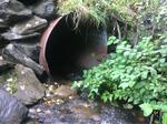 Culvert Crossing, Fort Kent, Maine