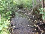 Culvert Crossing, Fort Kent, Maine