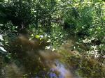 Culvert Crossing, Saint Agatha, Maine