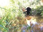 Culvert Crossing, Saint Agatha, Maine