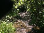 Culvert Crossing, Saint Agatha, Maine