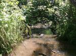 Multiple Culvert Crossing, Saint Agatha, Maine