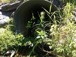 Multiple Culvert Crossing, Saint Agatha, Maine