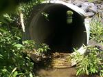 Multiple Culvert Crossing, Saint Agatha, Maine