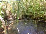Multiple Culvert Crossing, Saint Agatha, Maine