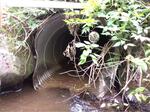 Culvert Crossing, Saint Agatha, Maine