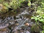 Culvert Crossing, Saint Agatha, Maine