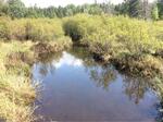 Culvert Crossing, Wallagrass, Maine