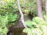 Culvert Crossing, Eagle Lake, Maine