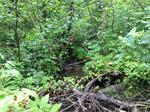 Culvert Crossing, Cyr Plt, Maine